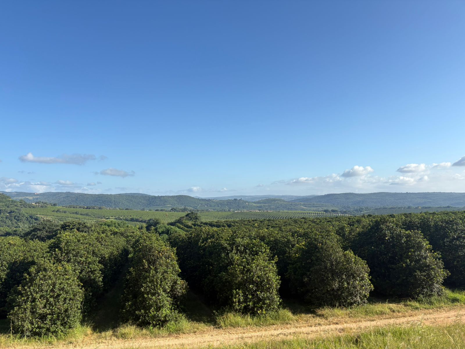 Farm Lake