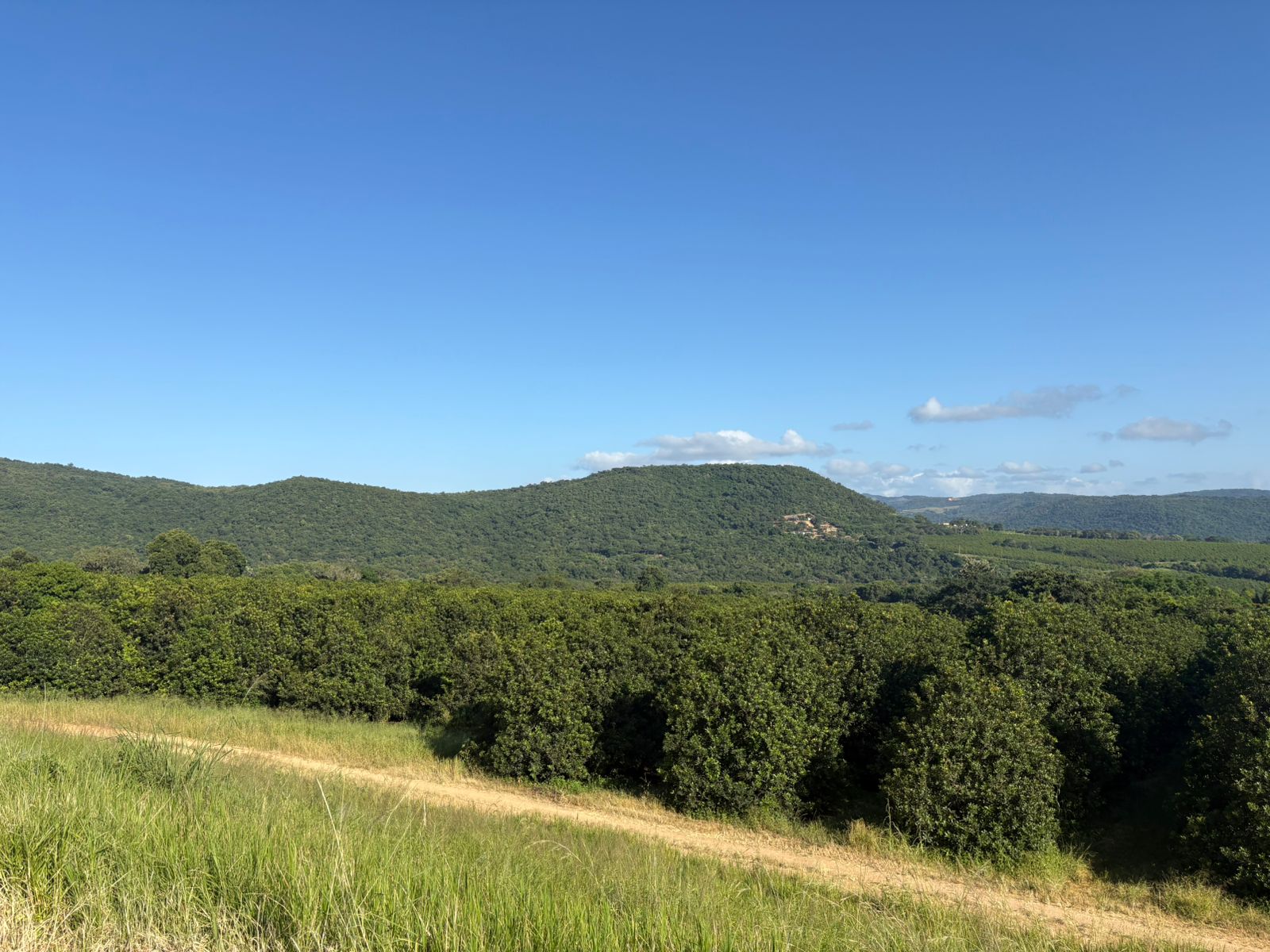Hazyview Macadamia Farm